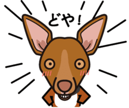 iinu - Pharaoh Hound sticker #12243579