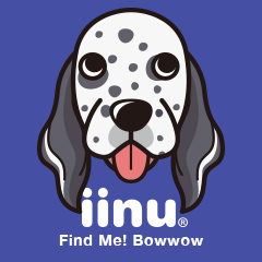 iinu - English Setter
