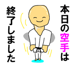 I like KARATE than anything else sticker #12245381