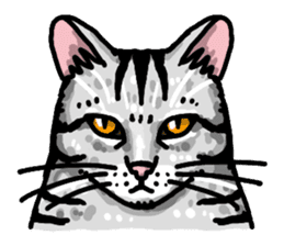 Bonboya-zyu Chibi Stickers 2 full of BON sticker #12245645