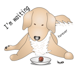 Every day with Golden Retriever. English sticker #12246706