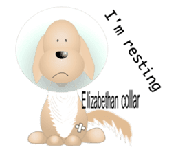Every day with Golden Retriever. English sticker #12246726