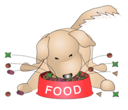 Every day with Golden Retriever. English sticker #12246728