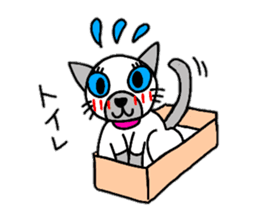 Cute Siamese cat stamp sticker #12247559