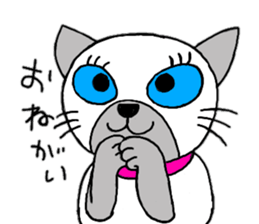 Cute Siamese cat stamp sticker #12247569