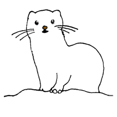 The Subtle Warmth of the Last Frontier