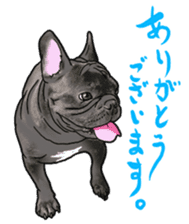 frenchbulldog's TOYkun 6 sticker #12250062
