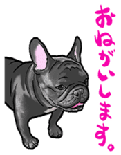 frenchbulldog's TOYkun 6 sticker #12250066
