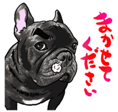frenchbulldog's TOYkun 6 sticker #12250068
