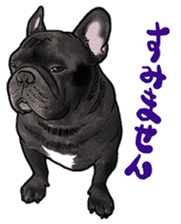 frenchbulldog's TOYkun 6 sticker #12250071