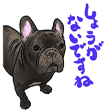 frenchbulldog's TOYkun 6 sticker #12250075