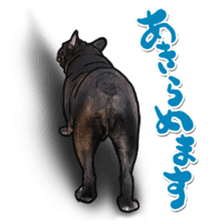 frenchbulldog's TOYkun 6 sticker #12250077