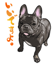 frenchbulldog's TOYkun 6 sticker #12250078