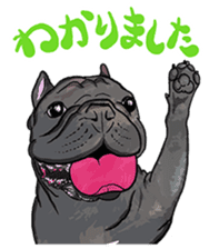 frenchbulldog's TOYkun 6 sticker #12250081