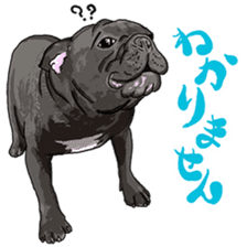 frenchbulldog's TOYkun 6 sticker #12250082