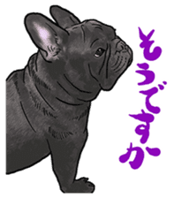 frenchbulldog's TOYkun 6 sticker #12250083