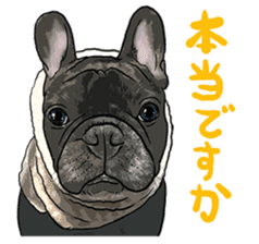 frenchbulldog's TOYkun 6 sticker #12250087