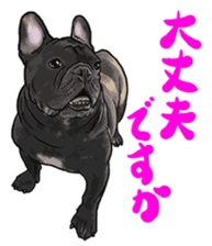 frenchbulldog's TOYkun 6 sticker #12250089