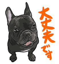 frenchbulldog's TOYkun 6 sticker #12250090