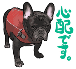 frenchbulldog's TOYkun 6 sticker #12250091
