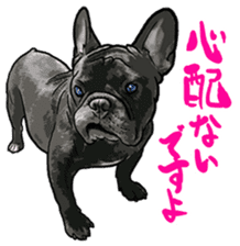 frenchbulldog's TOYkun 6 sticker #12250092