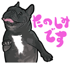 frenchbulldog's TOYkun 6 sticker #12250095