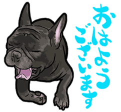 frenchbulldog's TOYkun 6 sticker #12250096