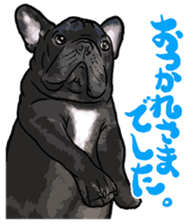 frenchbulldog's TOYkun 6 sticker #12250101