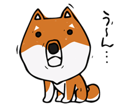 Joe of a Shiba dog sticker #12250466