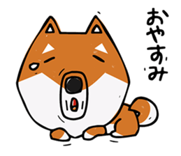 Joe of a Shiba dog sticker #12250471