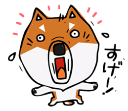 Joe of a Shiba dog sticker #12250473