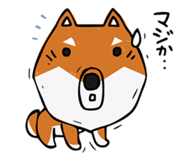 Joe of a Shiba dog sticker #12250483