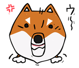 Joe of a Shiba dog sticker #12250487