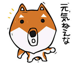 Joe of a Shiba dog sticker #12250488