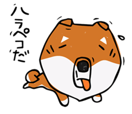 Joe of a Shiba dog sticker #12250491