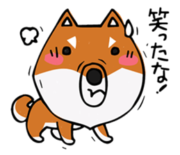 Joe of a Shiba dog sticker #12250492