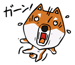 Joe of a Shiba dog sticker #12250495