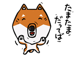 Joe of a Shiba dog sticker #12250498