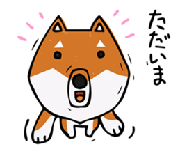 Joe of a Shiba dog sticker #12250501