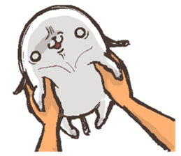 That dog 4 sticker #12252912