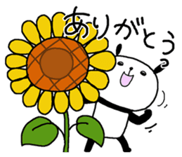 Playful Osaka panda*Summer* sticker #12253020