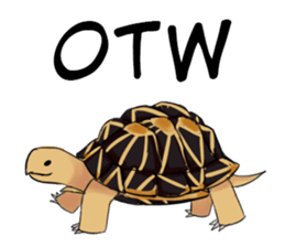 Reptile! sticker #12253182