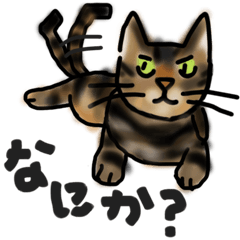 Sticker of a cat with a name as v