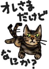 Sticker of a cat with a name as v sticker #12253262