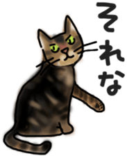 Sticker of a cat with a name as v sticker #12253263
