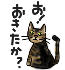 Sticker of a cat with a name as v sticker #12253266