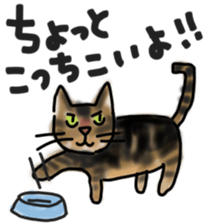 Sticker of a cat with a name as v sticker #12253267