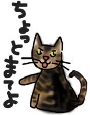 Sticker of a cat with a name as v sticker #12253268