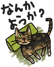 Sticker of a cat with a name as v sticker #12253270