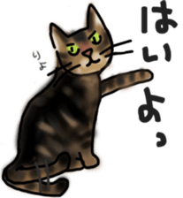 Sticker of a cat with a name as v sticker #12253274